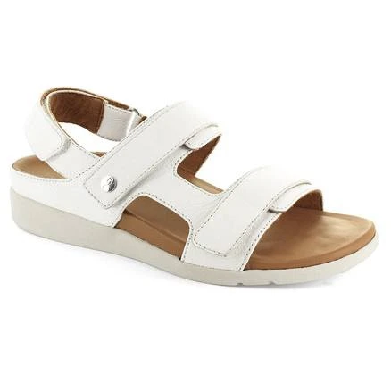 Strive Aruba 9 Strive Aruba - Image 7