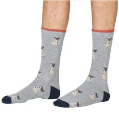 Thought Wiley Pug Socks In A Bag (2 Pairs) UK 7 - 11 -Simplyfeet Store capture2 1