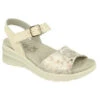 DB Shoes Nightjar -Simplyfeet Store db shoes nightjar beige main 75013h 2