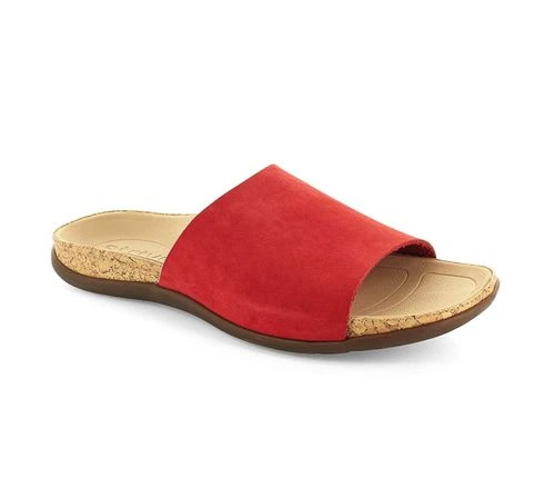 Strive Ithaca 4 Strive Ithaca - Image 2