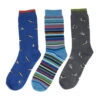 Thought Sea Animal Pack Of 3 Socks UK 7-11 -Simplyfeet Store sbm6326sa sea animal